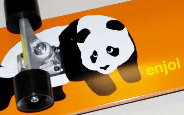 Panda on an Orange Skateboard